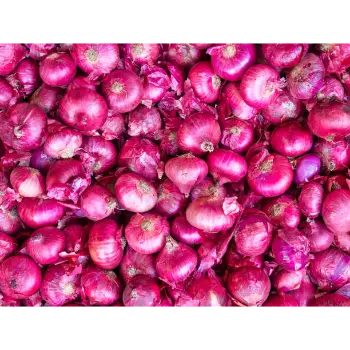 onion (25)-4366117-60447.webp